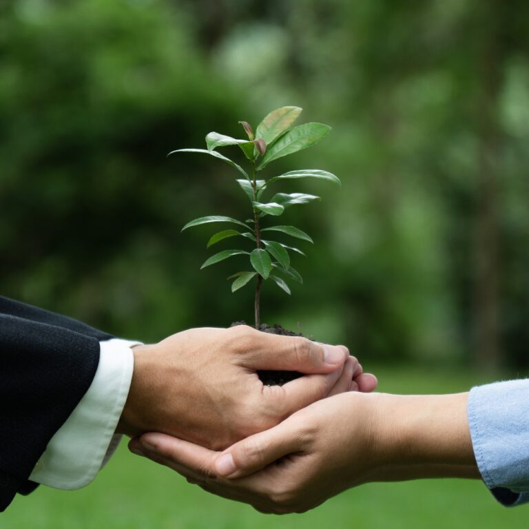 Business people holding green plants together for CSR, corporate social responsibility.
